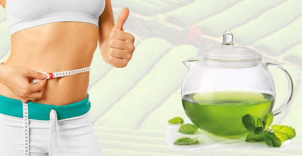 Green Tea burns fat and increases body metabolism thereby reducing weight