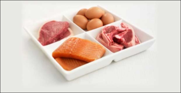 Animal products are rich in B12 vitamin