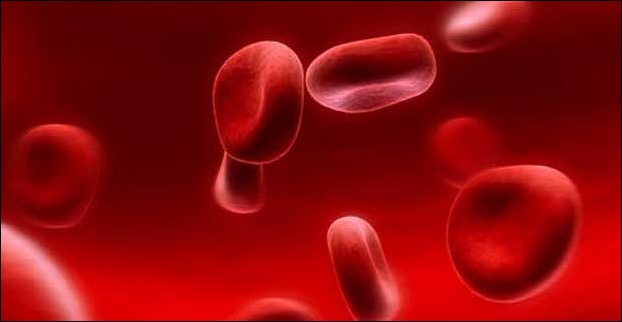 Treating Anaemia deficiency signs and symptoms with a right diet! |
