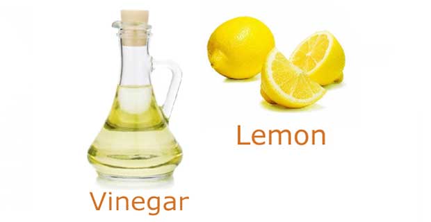 Lemon Juice and Vinegar helps in scalp problems