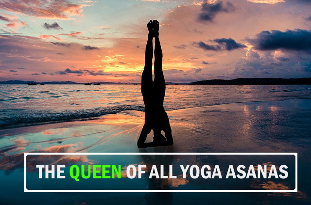Sarvangasana or Shoulder stand posture is called the queen of all yoga poses.