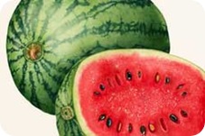 watermelon