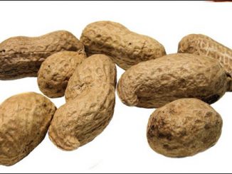 Peanuts also trigger food allergy in some people