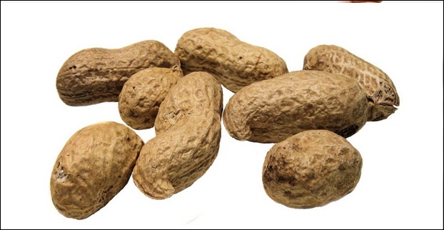 Peanuts also trigger food allergy in some people