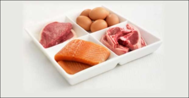 Animal products are rich in B12 vitamin Animal products are rich in B12 vitamin