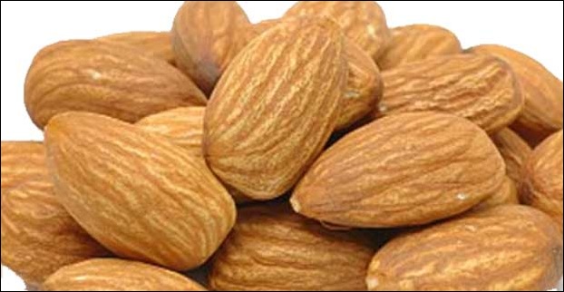Almond is a good source of folic acid