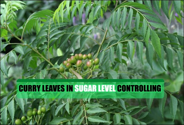 Curry Leaves are very benefitial in diabetes control