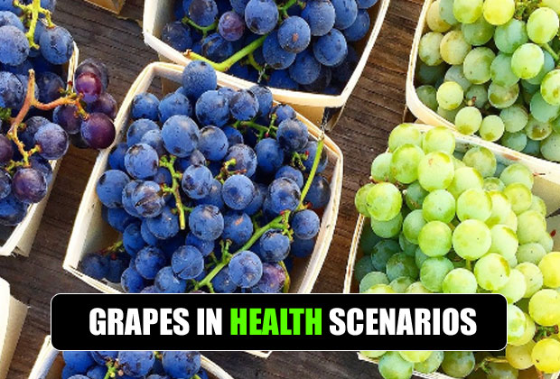 Potential health benefits and disadvantages of Grapes