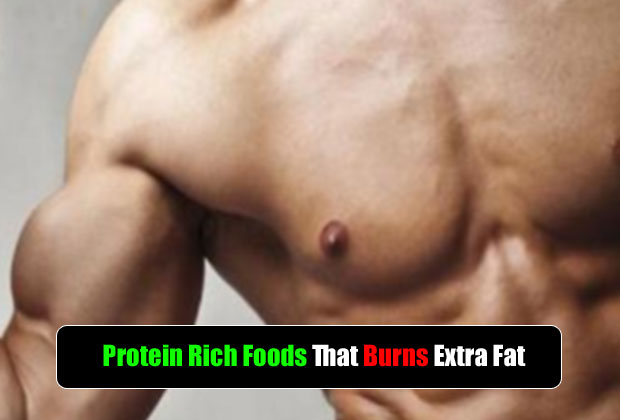 5 Top Protein Abundant Food With Less Fat