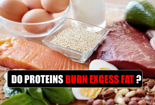 Proteins helps to burn the body fat