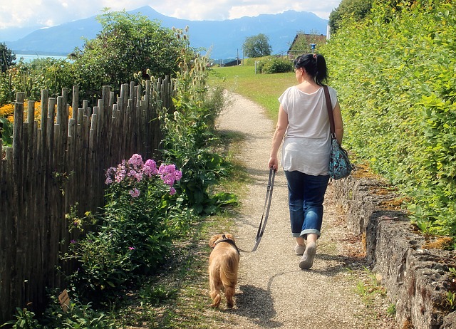 Woman taking dog to a walk