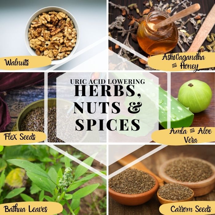 Herbs, Spices & Nuts in Uric Acid treatment