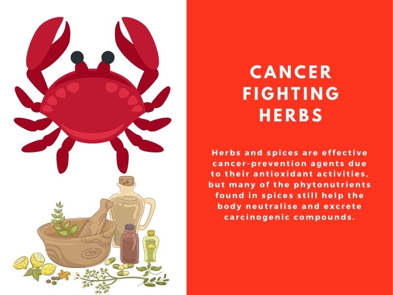 Cancer fighting herbs
