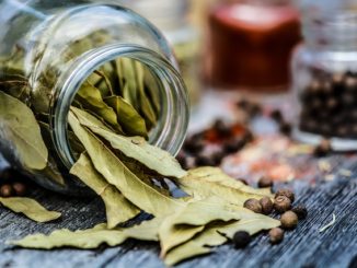 Bay Leaf Interesting facts