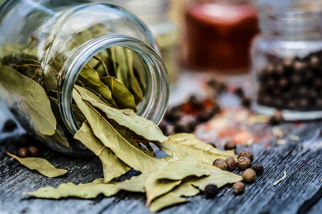 Are bay leaves edible? Know the health benefits of bay laurel