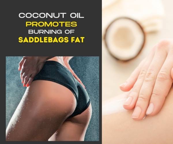 coconut oil and saddlebags