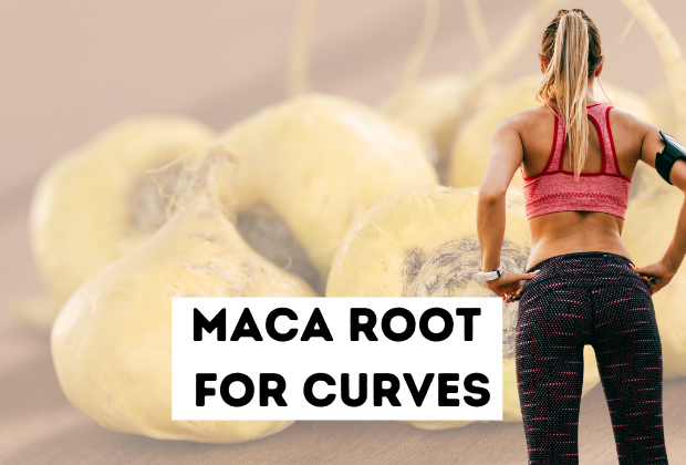 Maca root role in getting curves for women