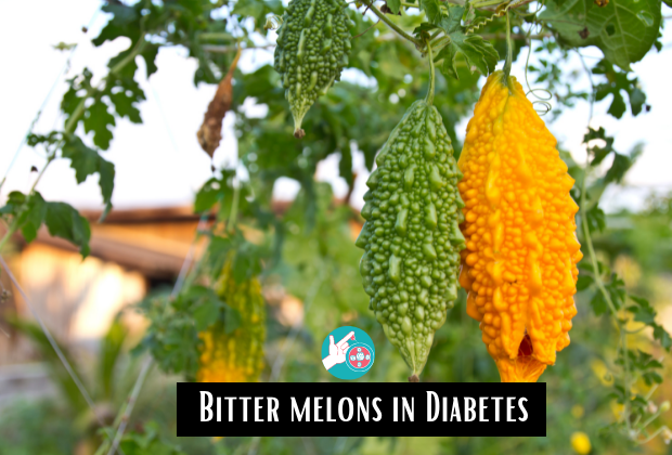 Bitter Melon Benefits in Diabetes