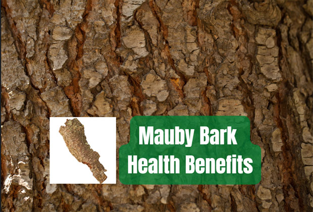 Mauby bark's benefits