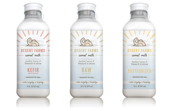 Benefits of Camel Dairy Products
