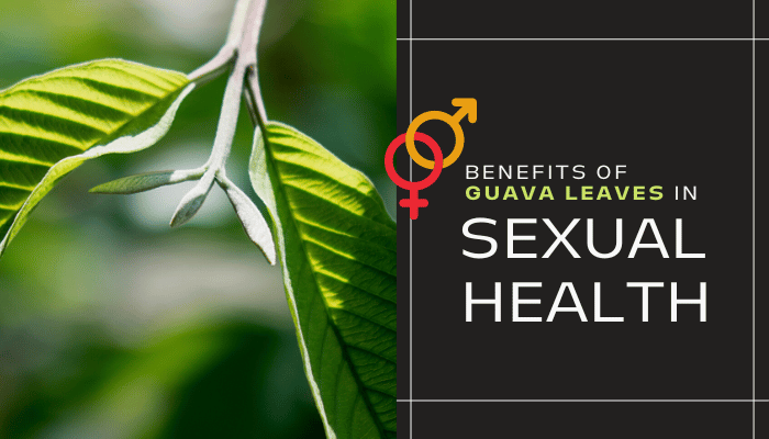 Top Benefits of guava leaves sexually