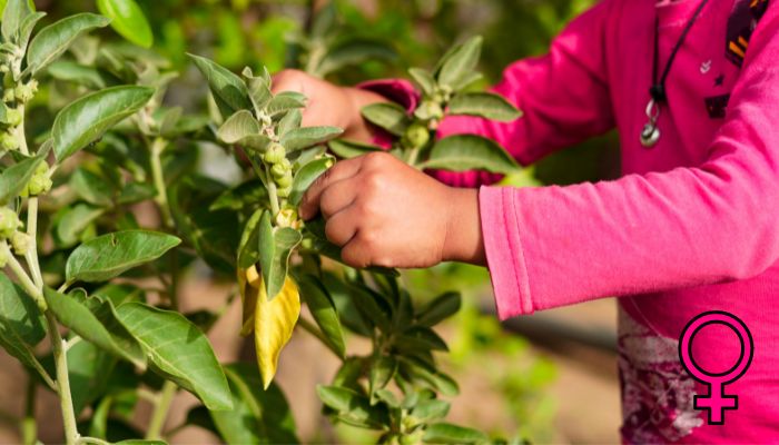 Ashwagandha known as "makes you horny" herb benefits in enhancing female  sexual health