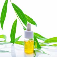 Tea tree essential oil crepe repair advantages