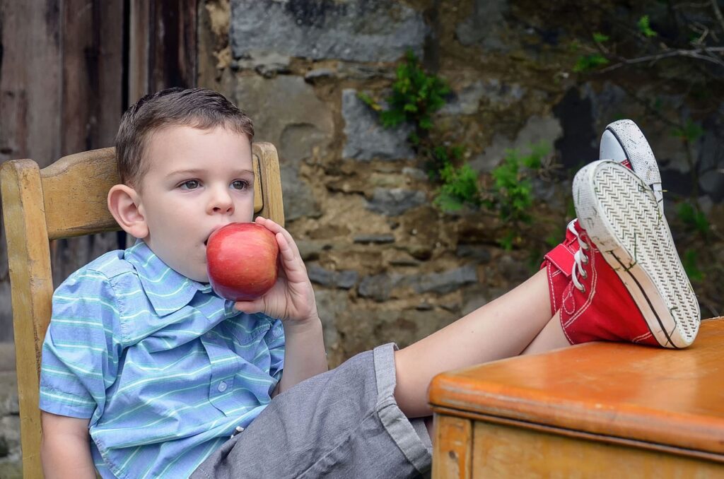 A boy sitting on a chair and eating apple