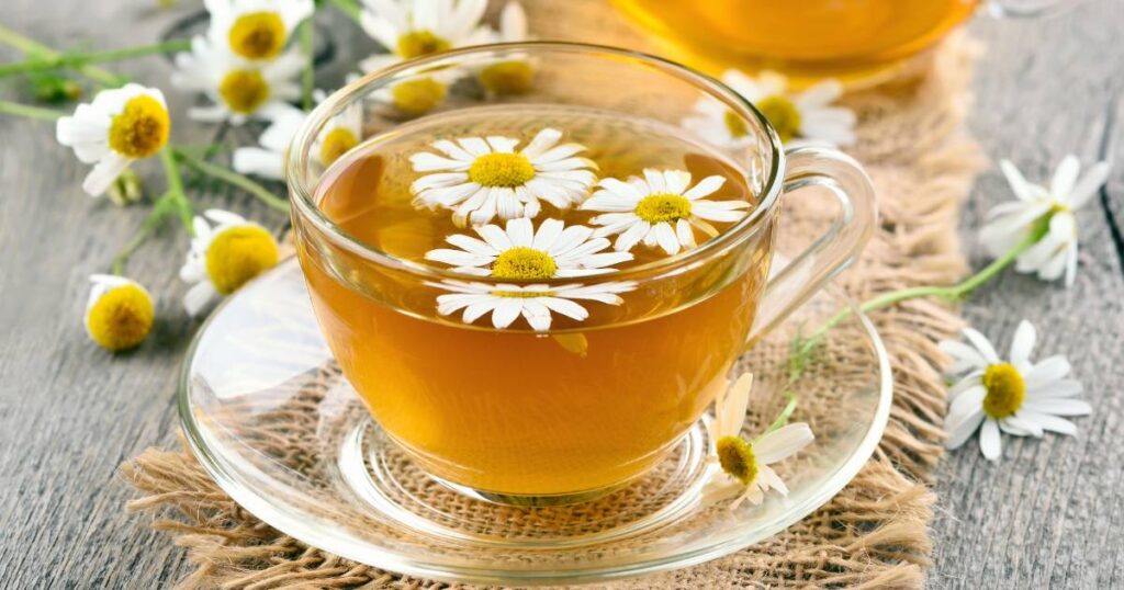 Chamomile flowers floating in a cup filled with tea