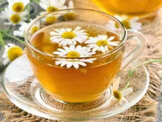 Chamomile flowers floating in a cup filled with tea