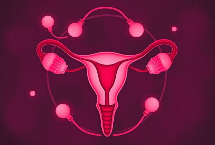 Menstrual Cycle Calculator