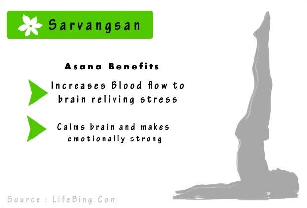 Sarvangsan yoga asana makes you feel happy by increasing blood flow to the brain Sarvangsan yoga asana makes you feel happy by increasing blood flow to the brain