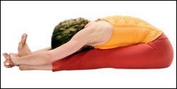 Paschimottanasana of Yoga